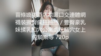 网泄门-情侣廁所間的情趣