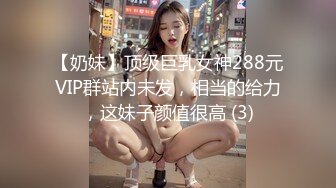 【奶妹】顶级巨乳女神288元VIP群站内未发，相当的给力，这妹子颜值很高 (3)