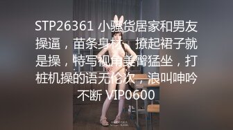 STP26361 小骚货居家和男友操逼，苗条身材，撩起裙子就是操，特写视角美臀猛坐，打桩机操的语无伦次，浪叫呻吟不断 VIP0600