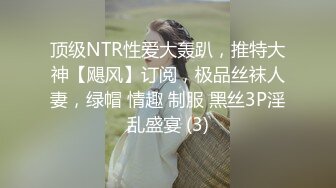 顶级NTR性爱大轰趴，推特大神【飓风】订阅，极品丝袜人妻，绿帽 情趣 制服 黑丝3P淫乱盛宴 (3)