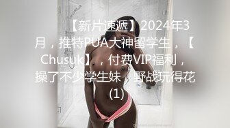 南宫 能代女仆