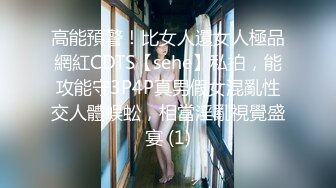 高能預警！比女人還女人極品網紅CDTS【sehe】私拍，能攻能守3P4P真男假女混亂性交人體蜈蚣，相當淫亂視覺盛宴 (1)