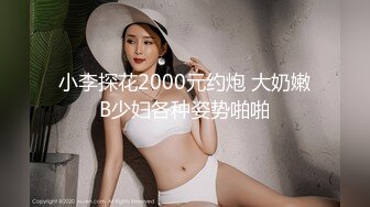 小李探花2000元约炮 大奶嫩B少妇各种姿势啪啪