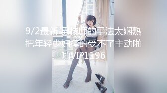 HEYZO 2917 上原茉咲がお漏らししちゃった！ – 上原茉咲