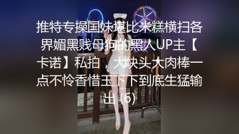 麻豆傳媒 NHAV001 內涵甜蜜女友 約到相親對象 差高冷相親女 小雪