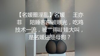 MD-0039_女优面试员叶一涵