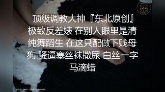 加拿大华人圈《索菲婭》VIP订阅私拍 群交乱操二龙戏凤三骚战肉棒