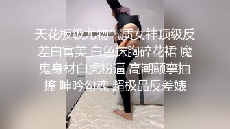 米莎是一个超级角质女仆，当她想被操时，她喜欢打扮成她的女仆反向兔子角色扮演。