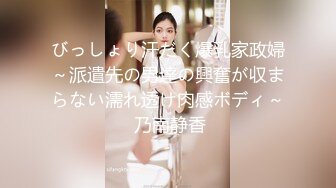 びっしょり汗だく爆乳家政婦～派遣先の男達の興奮が収まらない濡れ透け肉感ボディ～ 乃南静香