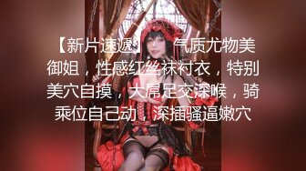 蓝发大胸美少妇的肥臀肛塞