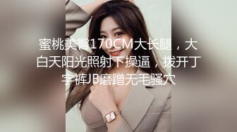 寻花偷拍系列-男主约了个高颜值大奶美女啪啪…