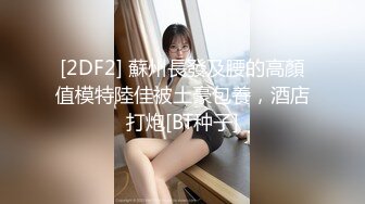 明星颜值反差女神〖sunwall〗韩国前女团成员精选下海作品合集 酒店 调教 车震 户外 健身房 海