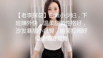 【老李探花】白嫩小少妇，下班赚外快，温柔甜美性格好，沙发暴插小白臀，嬉笑打闹好似偷情野鸳鸯