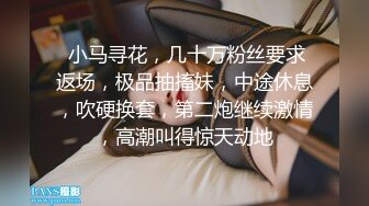 8/16最新 丰满巨乳妹子在公厕偶遇男子直接开干趴下深喉VIP1196