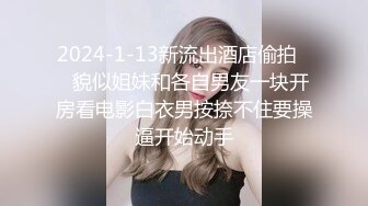 痴女捜査官～射精审问技巧篇 森川安奈