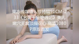 MDX-0213-腹黑女的破处-林芊彤