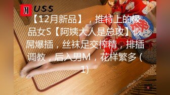 【12月新品】，推特上的极品女S【阿姨大人是总攻】假屌爆插，丝袜足交榨精，排插调教，后入男M，花样繁多 (1)