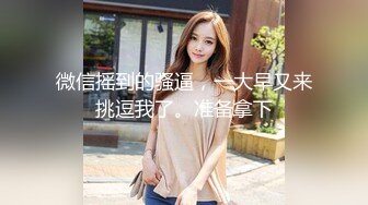 麻豆传媒-吴梦梦监制-淫荡女中介 女业务员的售前性服务