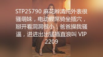 ElyEE子 23年12月订阅写真图包