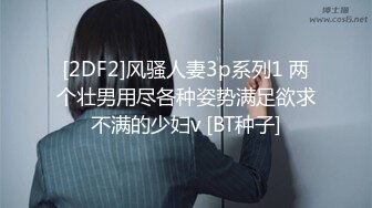 [2DF2]风骚人妻3p系列1 两个壮男用尽各种姿势满足欲求不满的少妇v [BT种子]