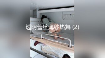 透明蕾丝薄纱热舞 (2)