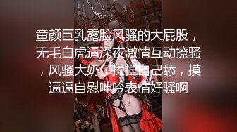 寻花偷拍系列-男主约了个高颜值大奶美女啪啪…