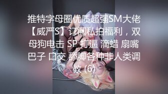 推特字母圈优质超强SM大佬【威严S】订阅私拍福利，双母狗电击 SP 打逼 滴蜡 扇嘴巴子 口交 舔脚各种非人类调教 (6)