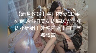 十二月新流出厕拍大神暗夜潜入商场女厕全景偷拍美女尿尿穿着睡衣拖鞋居然出现在商场厕所