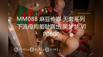 MM088 麻豆传媒 无套系列 下流母狗羞耻露出 吴梦梦 VIP0600