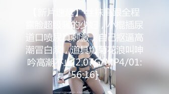 TS美模雅琪秘书装