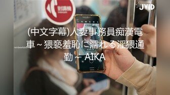 (中文字幕)人妻事務員痴漢電車～猥褻羞恥に濡れる淫猥通勤～ AIKA