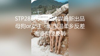 STP28603 星空传媒最新出品母狗or女王 - 幻想温柔乡反差老婆两级反转